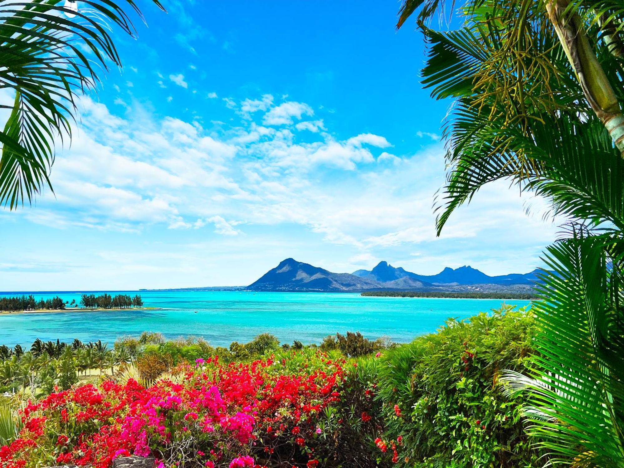 Kozy Le Morne Villa Værelse billede